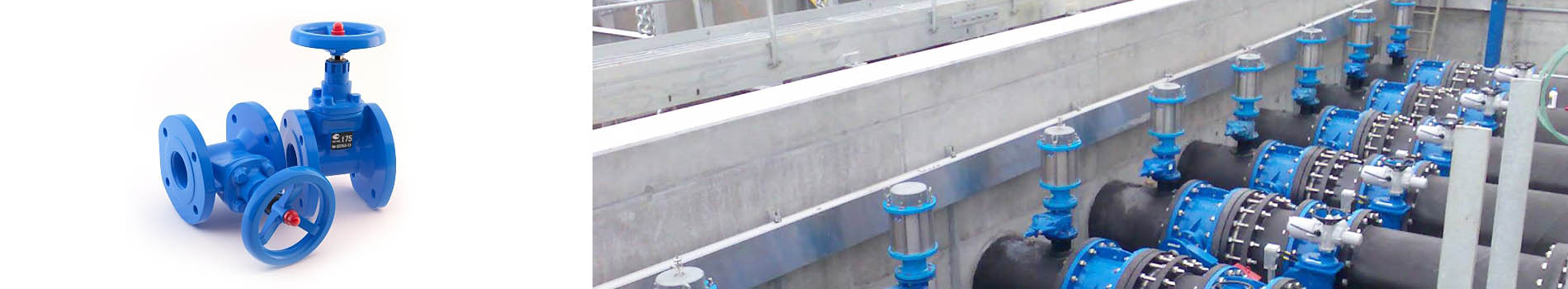 banner_2